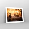 Poster - Poster ohne Rahmen - Deer Heidekraut Tier - 50x40 Produktbild-Vorschau 7