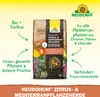 Neudorff NeudoHum Zitrus- & MediterranpflanzenErde 20 Liter Produktbild-Vorschau 2