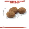 Royal Canin Sterilised 37, Adult, 4 kg Produktbild-Vorschau 5