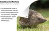 MuchoWow® Produktbild-Vorschau 2