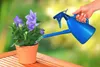 A hand watering a potted plant with purple flowers using a blue watering can on a wooden table. Produktbild-Vorschau