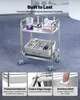 SucceBuy Edelstahlwagen mit 2 Ebenen und Rollen, ideal für Produktbild-Vorschau 2