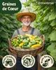 ZenGreens® Graines Bio de Concombres – Set 6 Variétés Voir les images du produit 2