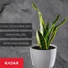Doniczka KADAX "Turi", doniczka ze spodkiem, 14 cm, szara Podgląd zdjęcia produktu 5