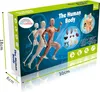 The image shows the packaging of a human anatomy model kit for children, featuring illustrations of the human body and its organs. Náhled obrázku produktu
