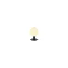 A single outdoor lamp with a spherical light and a dark base. Produktbild-Vorschau