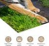 MuchoWow® Poster Tiger - Gras - Tiere 60x90 cm - Produktbild-Vorschau 2