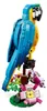 Stavebnica LEGO Creator 31136 Exotický papagáj (253 Náhľad obrázku produktu 38