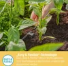 GARDENA Reihentropfer 2 l/h druckregulierend 10 Stk. Produktbild-Vorschau 4