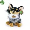 Peluche Chihuahua 24 Cm Ecologico Anteprima dell’immagine prodotto 8