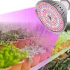 A grow light illuminates plants in pots on shelves. Produktbild-Vorschau
