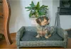 Let's Sleep Cozy Basket rotan M Produktbild-Vorschau 3