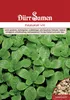 Feldsalat Vit 250 g | Feldsalatsamen von Dürr Samen Produktbild-Vorschau 2