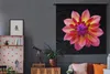 MuchoWow® Wandteppich Wandbehang Eine Nahaufnahme der Produktbild-Vorschau 5