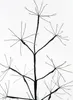 Luca Lighting Arbre de lumière pour l'extérieur - H150 x Voir les images du produit 4