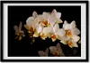 Bild - Bilderrahmen - 100 cm x 70 cm - MDF - Rahmen - Foto Produktbild-Vorschau 1