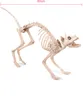 Scheletro di gatto - Decorazione horror per Halloween Anteprima dell’immagine prodotto 3