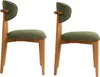 Skye Decor, Hochwertiges Stuhlset (2 Stück), Grünes Produktbild-Vorschau 3