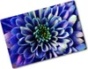 Tulup Glas Herdabdeckplatte - 80x52 cm - Produktbild-Vorschau 1