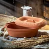 A terracotta pot with a lid sits on a rustic table with dried wheat and other natural elements. Voir les images du produit
