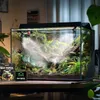 Terrario Oasis Tropical - automatický zavlažovač Terrario Náhled obrázku produktu 4