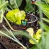 esotec Solar Bewässerungssystem WaterSprinkle Garten Produktbild-Vorschau 5