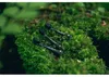 happybrush HAV3DEAB ECO VIBE 3+ set di spazzole nero Anteprima dell’immagine prodotto 3