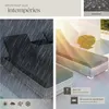 2 chaises longues en rotin avec structure en aluminium et Voir les images du produit 7