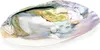 Mother Of Pearl Mušle s perlami -- sada 2 ks - 15-16 cm Náhled obrázku produktu 3