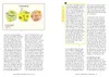 Das Kuchen-Paradox Produktbild-Vorschau 3