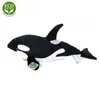 Peluche Orque 38 Cm Ecologique Voir les images du produit 2