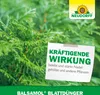 Neudorff Balsamol Blattdünger 250 ml reicht für 80L Produktbild-Vorschau 6
