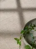 Ted Baker Greenwich Wollteppich Croom Natur Weiß Produktbild-Vorschau 7