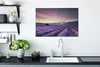MuchoWow® - Leinwandbilder - Sonnenuntergang über Lavendel, Produktbild-Vorschau 3
