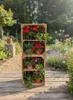 A wooden crate shelving unit filled with potted plants in a garden setting. Anteprima dell’immagine prodotto