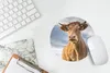 MuchoWow® Mauspad Mousepad Kuh - Braun - Natur 20x20 cm - Produktbild-Vorschau 5