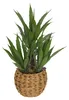 Pianta d'agave artificiale, in vaso di plastica, altezza 61 Anteprima dell’immagine prodotto 1