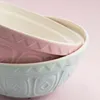 MASON CASH | Rührschüssel, MIXING BOWL, pink, 2 L Produktbild-Vorschau 4