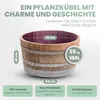 A wooden planter barrel with dimensions and features highlighted. Produktbild-Vorschau