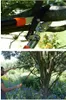 A collage of two images showing a person using long-handled pruning shears to trim a tree branch, and a close-up of the pruning shears cutting a branch. Produktbild-Vorschau