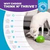 Planet Dog Orbee-Tuff Snoop grün – Intelligenzspielzeug für Produktbild-Vorschau 6