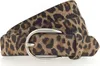 A close-up studio shot of a leopard print belt with a silver buckle. Produktbild-Vorschau