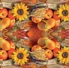 20 Servietten Thanksgiving - Erntedankfest 33x33cm Produktbild-Vorschau 2