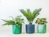 elho 8711904516321, Blauw, Kunststof, Rond, 100%, 100%, 140 Productafbeelding-voorbeeld 15