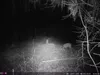 Outdoor Wildlife Hunting Trail und Wildkamera OXE Panther Produktbild-Vorschau 26