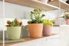 LECHUZA-Tischgefäß CLASSICO Color 14 DECO Magnolie | matte Produktbild-Vorschau 4