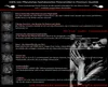 BPV - TESTRIDAL 60 Kapseln - Hardcore Booster - Produktbild-Vorschau 5