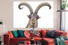 MuchoWow® Poster Steinbock - Tiere - Hoorn 180x120 cm - Produktbild-Vorschau 2