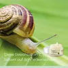 Orange Care - Baba de Crème Caracol - 2 pots de 50 ml Voir les images du produit 4