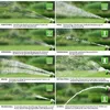 Dunlop Gartenbrause - Multi Handbrause mit 8 Sprühmustern Produktbild-Vorschau 7